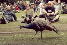 8268329284_74e2c3e902_b