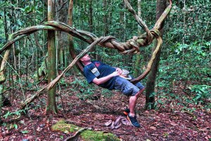 Odmor slikan iz ruke majstora Beta.