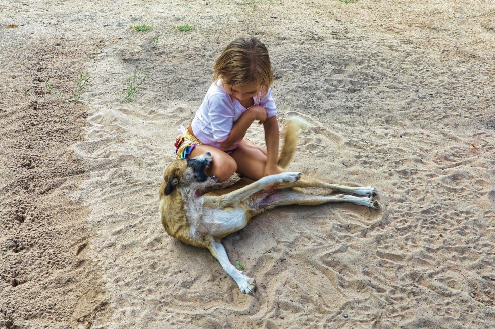 Frankova mala u igri s psom